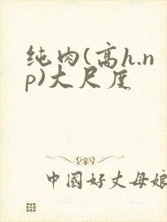 纯肉(高h.np)大尺度
