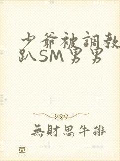 少爷被调教室跪趴SM男男