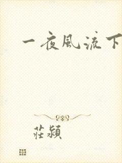 一夜风流下载