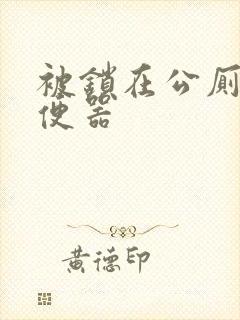 被锁在公厕当坐便器