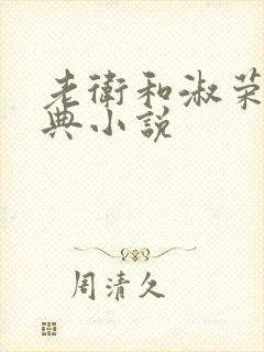 老卫和淑荣的经典小说