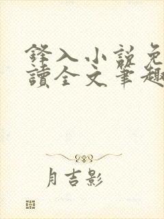 锋入小说免费阅读全文笔趣阁