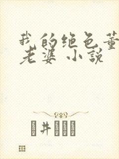 我的绝色董事长老婆 小说