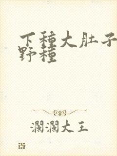 下种大肚子怀孕野种