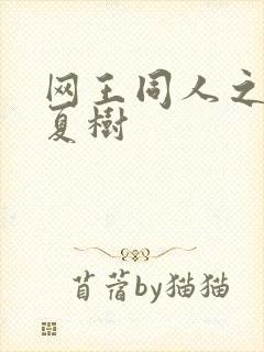 网王同人之桃生夏树