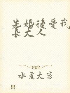 先婚后爱我的市长大人