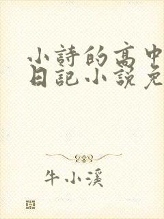 小诗的高中成长日记小说免费阅读