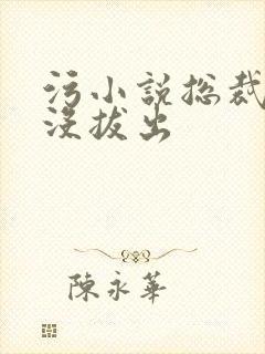 污小说总裁整夜没拔出