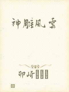 神雕风云
