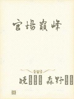 官场巅峰