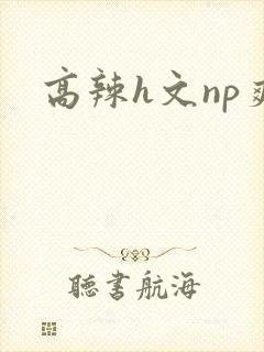 高辣h文np爽