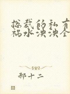 总裁的私有宝贝祸水泱泱全文阅读