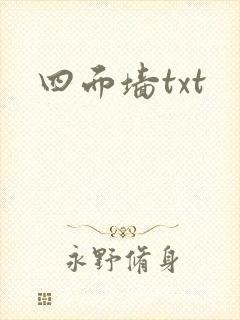 四面墙txt