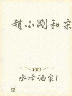 赵小刚和宋雨晴