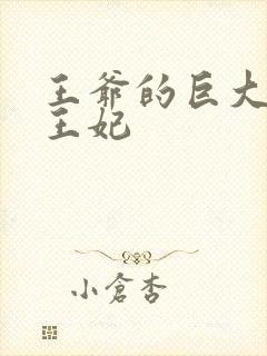 王爷的巨大进入王妃