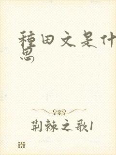 种田文是什么意思