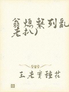 翁熄系列乱 (老扒)