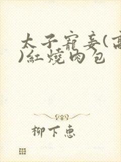 太子宠妾(高肉)红烧肉包