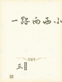 一路向西小说
