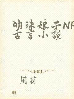 明珠娘子NPC古言小说