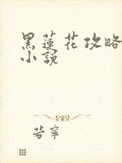 黑莲花攻略手册小说