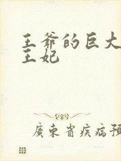 王爷的巨大进入王妃