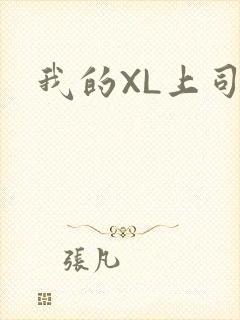 我的XL上司