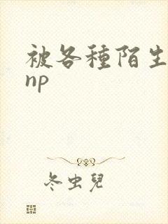 被各种陌生人 np