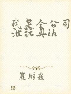 我是全公司的发泄玩具ih