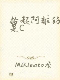 抬起阿离的腿就是C