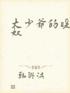 大少爷的暖床小奴