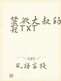 禁欲大叔的心尖宠TXT