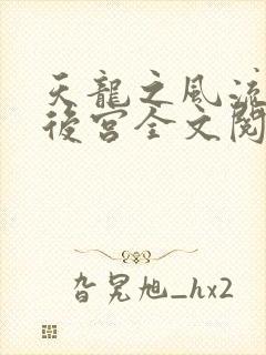 天龙之风流猎艳后宫全文阅读