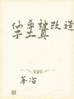 仙尊被改造成产子工具