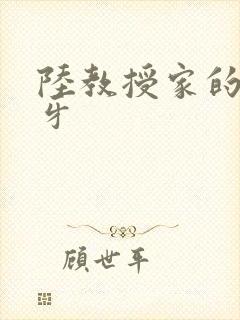 陆教授家的小月牙