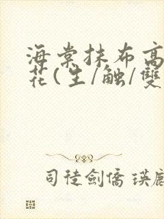 海棠抹布高岭之花(生/触/双)