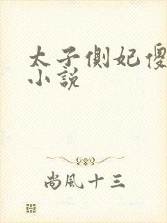 太子侧妃傻乎乎小说