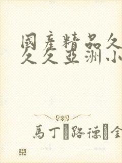 国产精品久久久久久亚洲小说