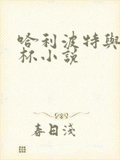 哈利波特与火焰杯小说