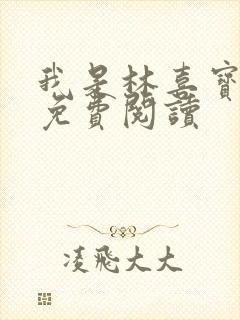 我是林喜宝小说免费阅读