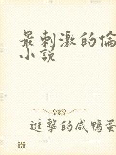 最刺激的伦子伦小说