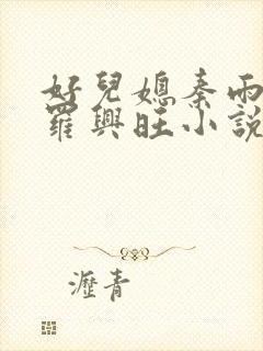 好儿媳秦雨罗明罗兴旺小说