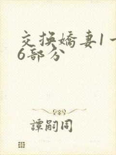 交换娇妻1一36部分