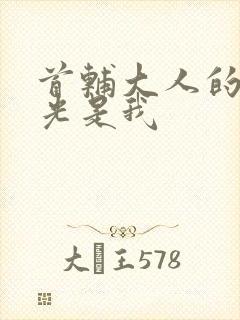 首辅大人的白月光是我