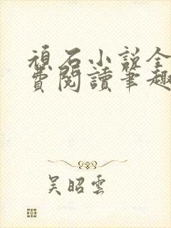 顽石小说全文免费阅读笔趣阁