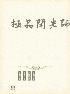 极品开光师
