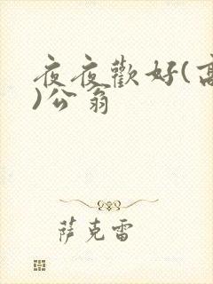 夜夜欢好(高h)公翁