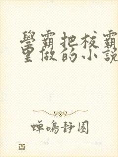 学霸把校霸往死里做的小说