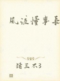 风流懂事长