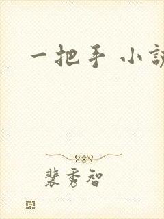一把手 小说